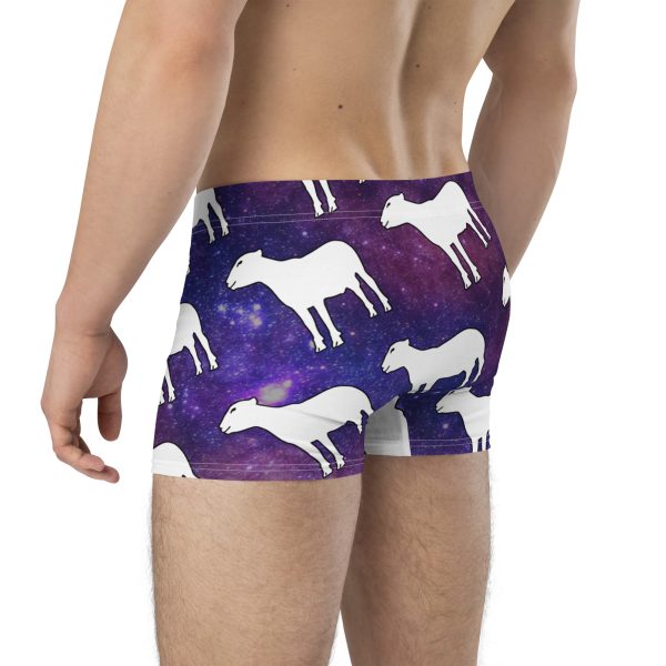 The Lamb's Undercrackers - Image 5