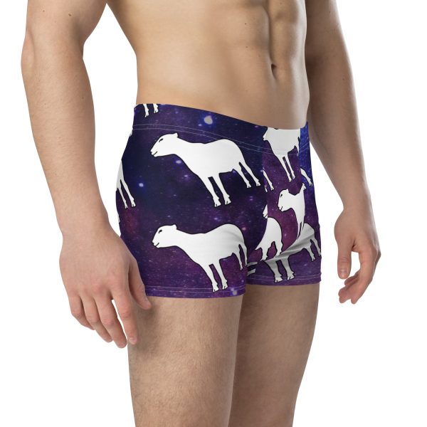 The Lamb's Undercrackers - Image 4